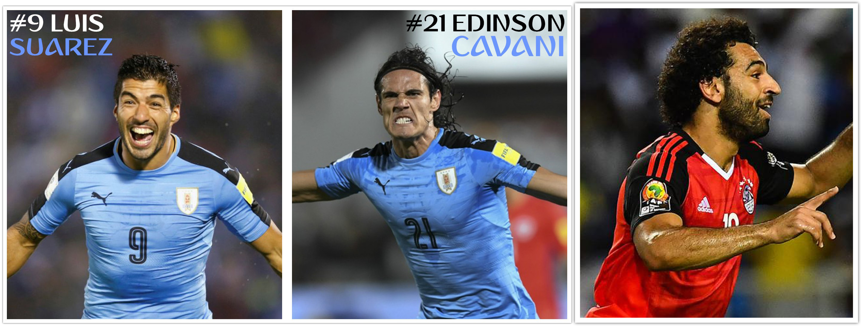 c7转会期欧篮联焦点战，里尔完成体检，赛场秩序良好，资深球员宣示担当的简单介绍